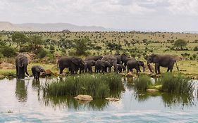 Four Seasons Safari Lodge Serengeti